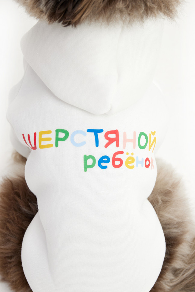 Толстовка для собак LionPets LPK-0425