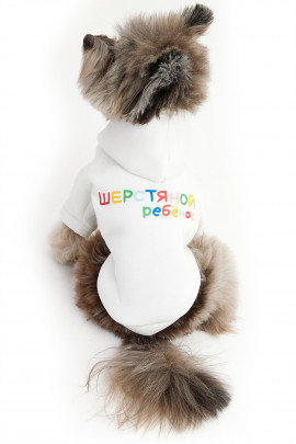 Толстовка для собак LionPets LPK-0425