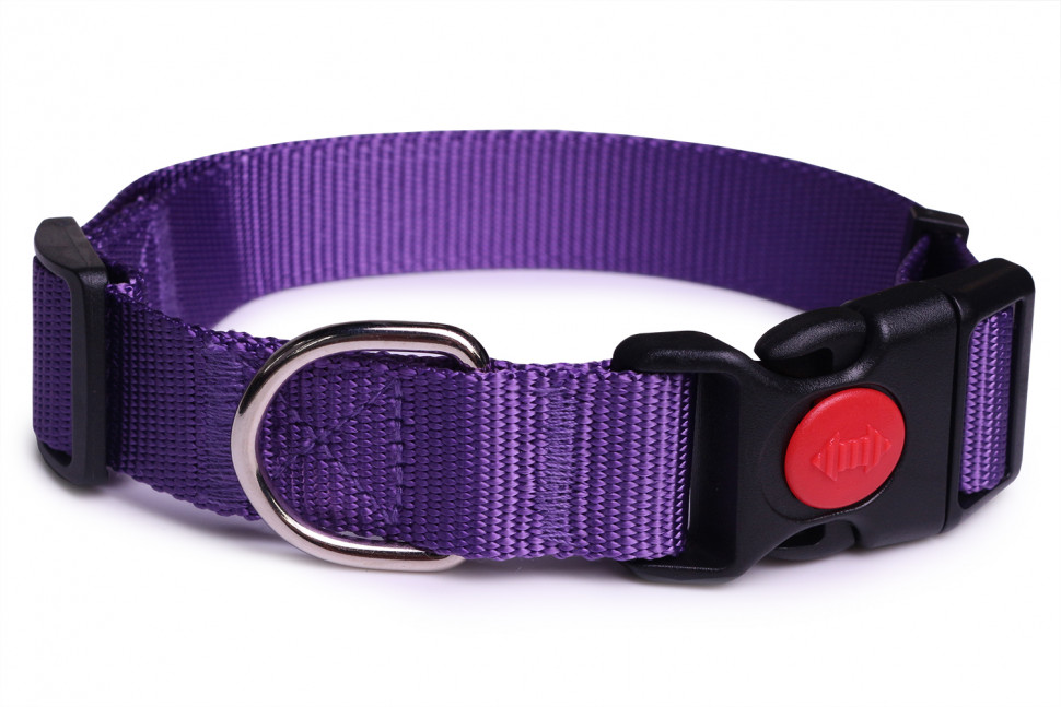 Ошейник для собак LionPets LPO-045-6 (Фиолетовый)