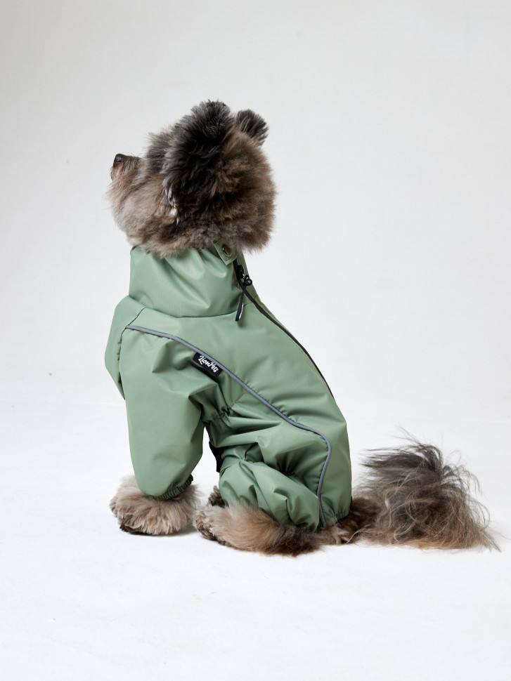Дождевик для собаки LionPets Woopy KLM-8422 мальчик Цвет: Оливковый