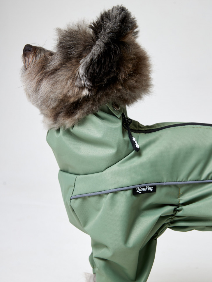 Дождевик для собаки LionPets Woopy KLM-8422 мальчик Цвет: Оливковый