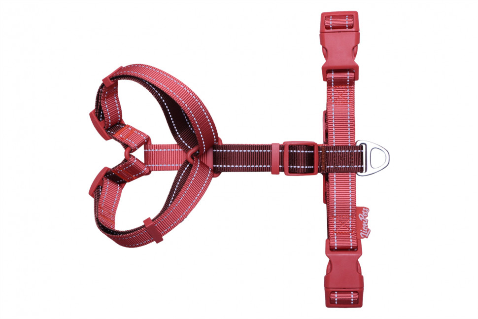 Шлейка анатомическая LionPets LP26-3