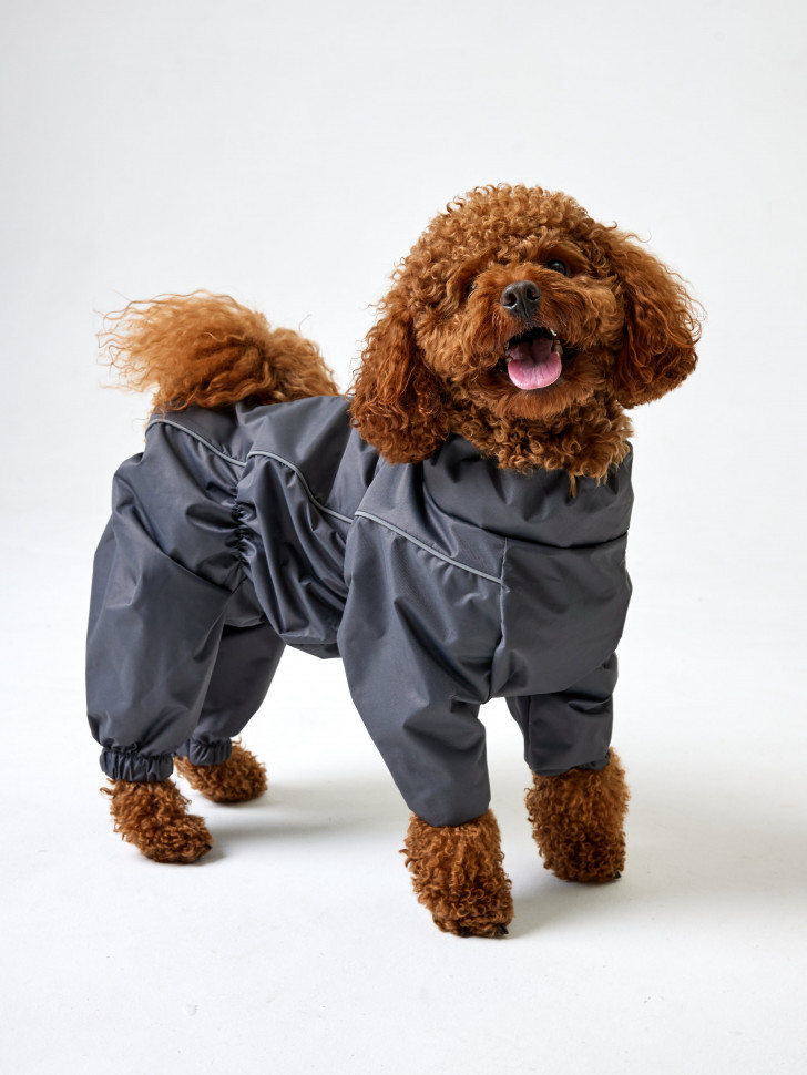 Дождевик для собаки LionPets Woopy KLM-8424 мальчик Цвет: Серый (утеплённый)