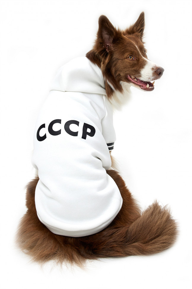 Толстовка для собак LionPets LPK-0435