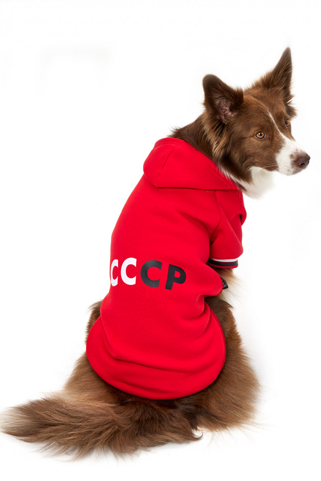 Толстовка для собак LionPets LPK-0436