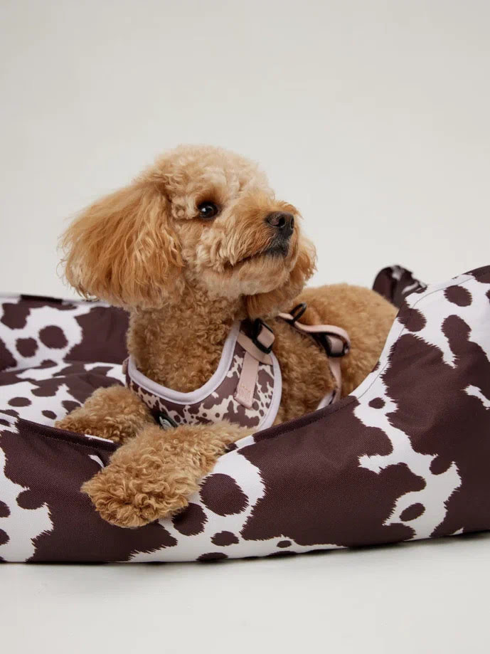 Лежанка LionPets Animal Cow LP2509 Размер: (70х50х20см)