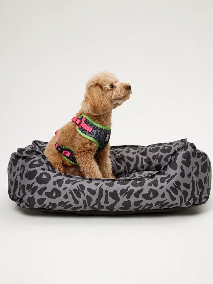 Лежанка LionPets Animal Leo LP2514 Размер: (70х50х20см)