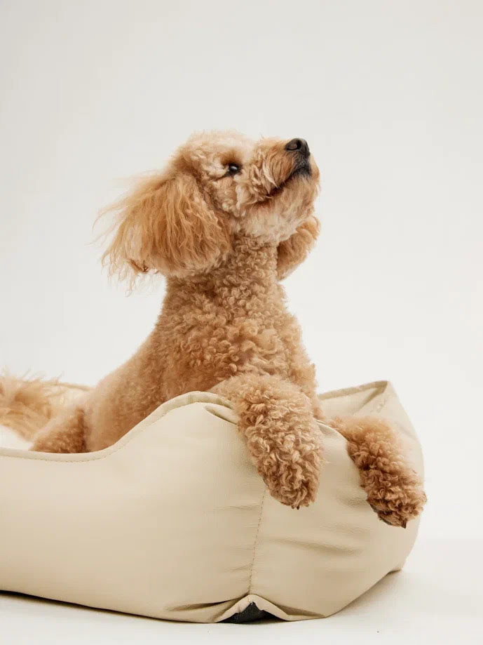 Лежанка LionPets для животных БРАУНИ PR2604 Эко-кожа Цвет: Молочный