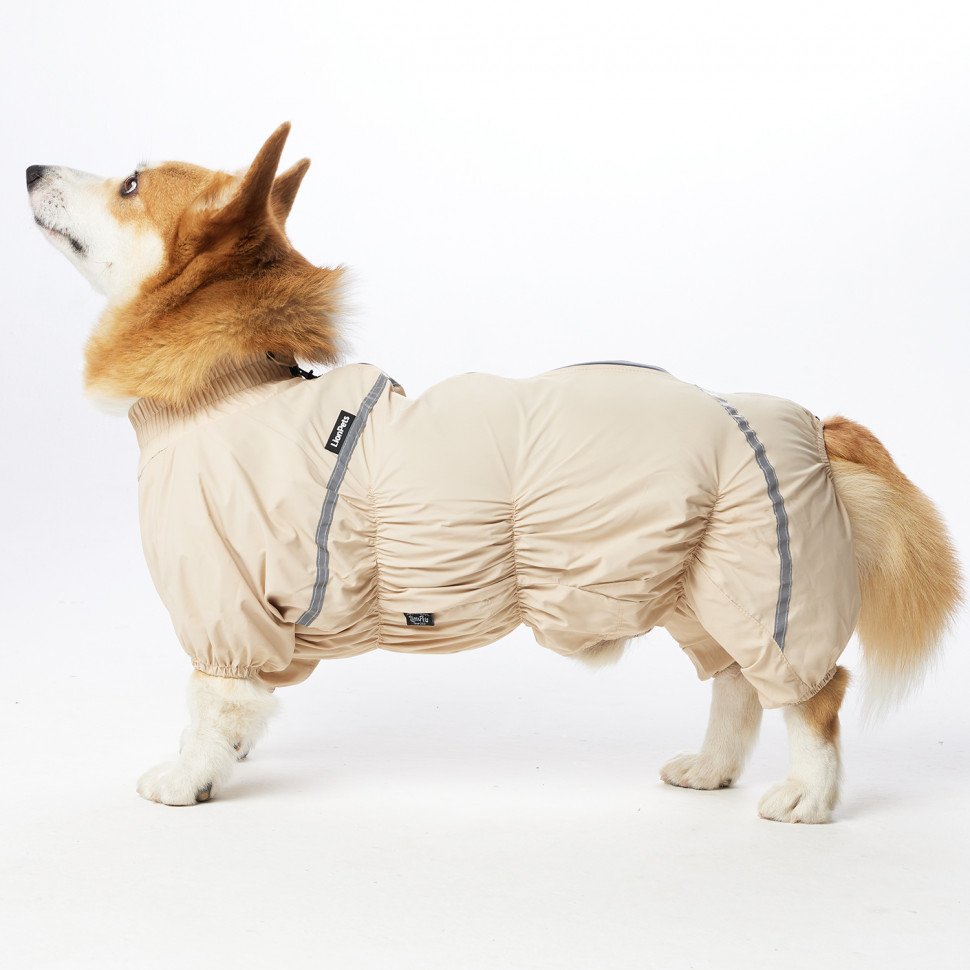 Дождевик LionPets Корги LPK-9125-10 Цвет: Молочный