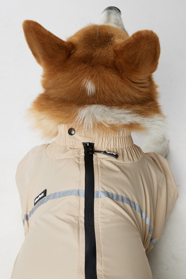 Дождевик LionPets Корги LPK-9125-10 Цвет: Молочный