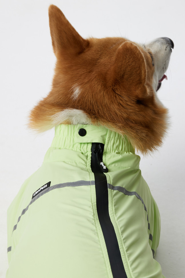 Дождевик LionPets Корги LPK-9125-4 на девочку Цвет: Салатовый