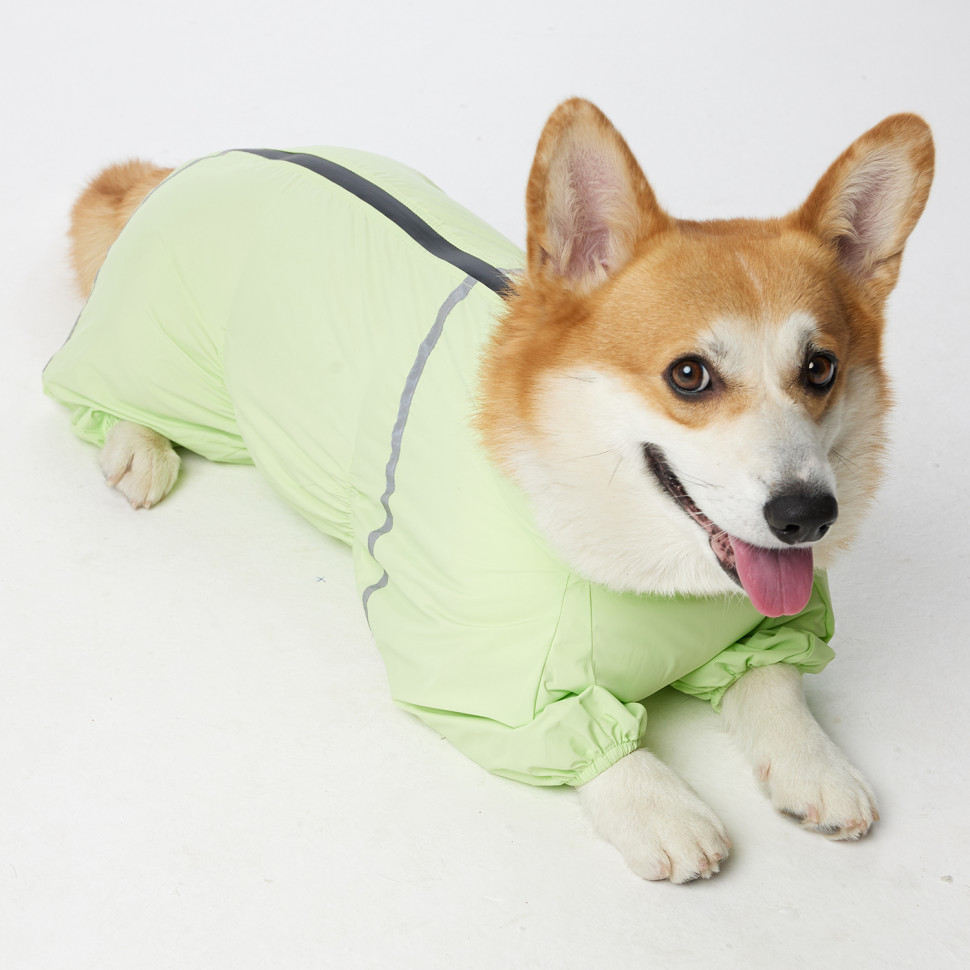 Дождевик LionPets Корги LPK-9125-4 на девочку Цвет: Салатовый