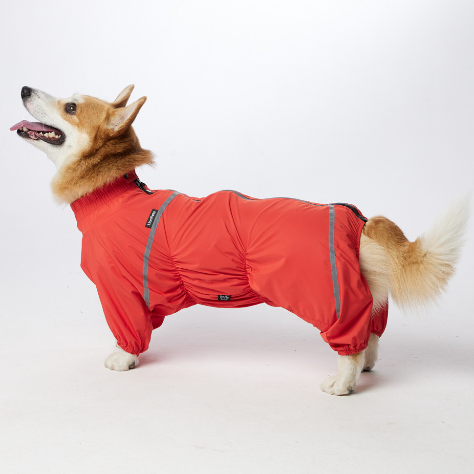 Дождевик LionPets Корги LPK-9125-29 на девочку Цвет: Оранжевый