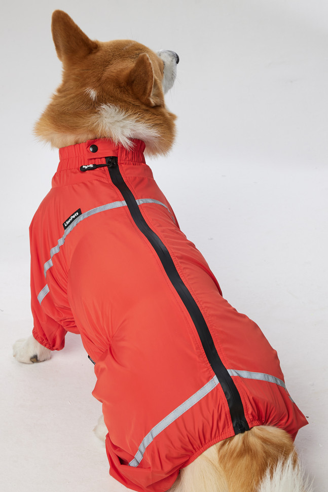 Дождевик LionPets Корги LPK-9125-29 на девочку Цвет: Оранжевый