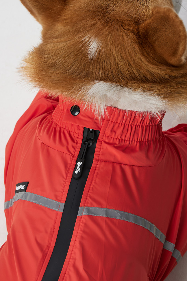 Дождевик LionPets Корги LPK-9125-29 на девочку Цвет: Оранжевый