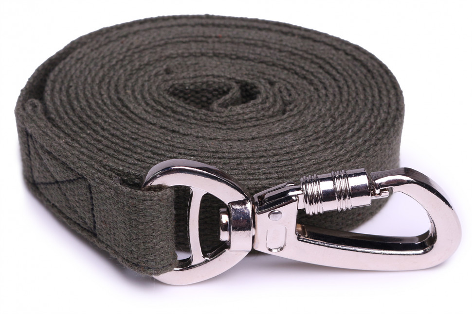 Поводок LionPets брезентовый (Карабин с фиксатором) Хаки, ширина 25 мм