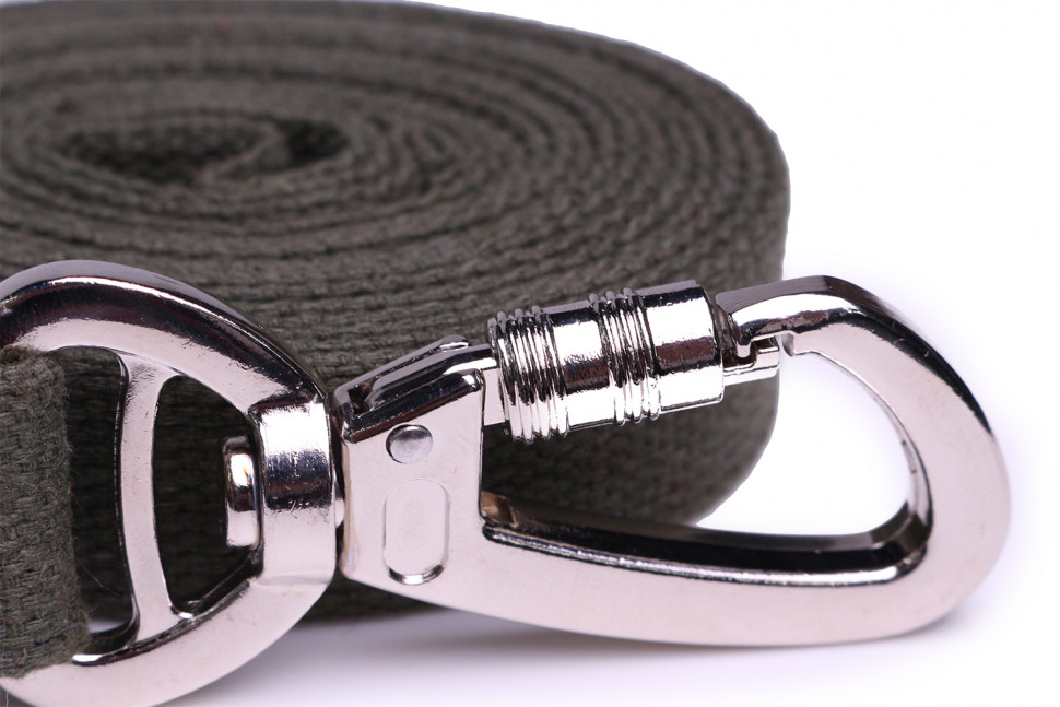 Поводок LionPets брезентовый (Карабин с фиксатором) Хаки, ширина 25 мм