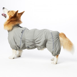 Дождевик LionPets Корги LPK-9125-133 на мальчика Цвет: Шалфей