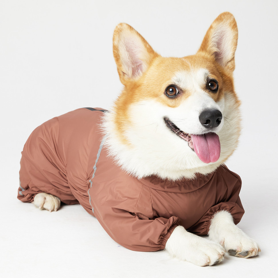Дождевик LionPets Корги LPK-9125-128 на мальчика Цвет: Шоколадный
