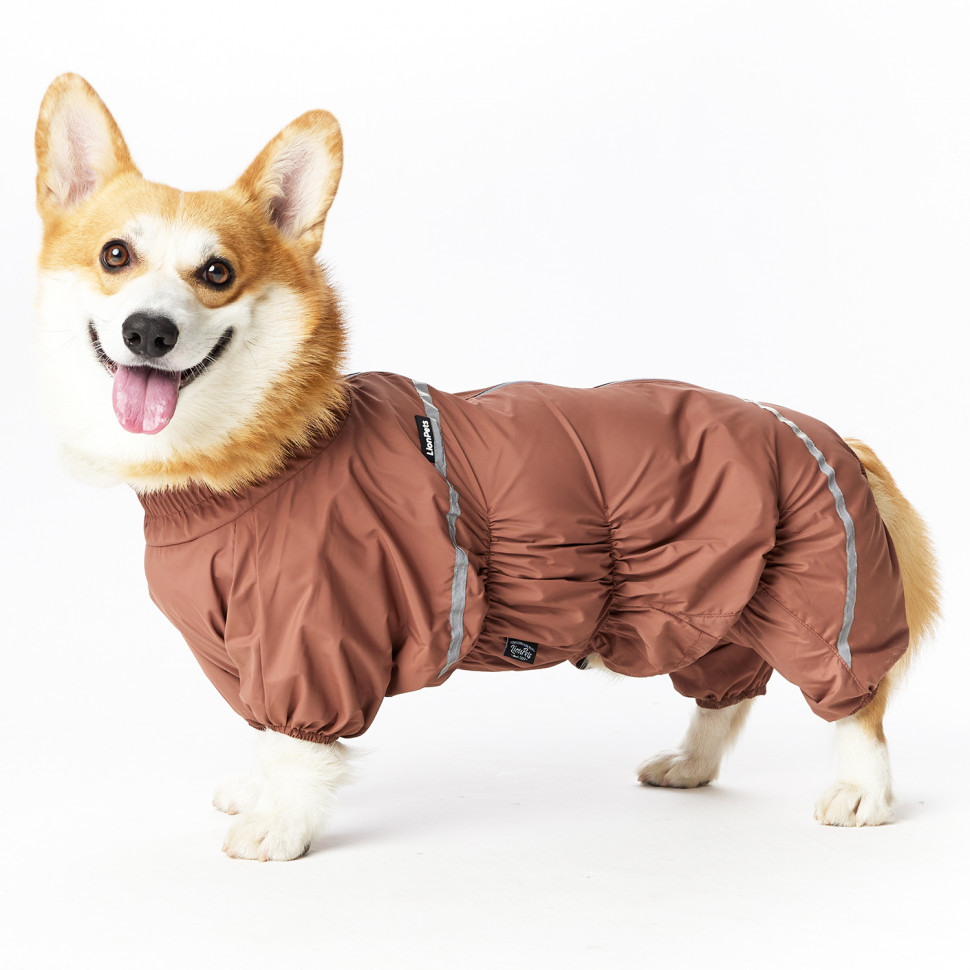Дождевик LionPets Корги LPK-9125-128 на мальчика Цвет: Шоколадный