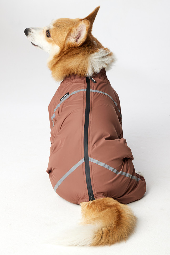 Дождевик LionPets Корги LPK-9125-128 на мальчика Цвет: Шоколадный