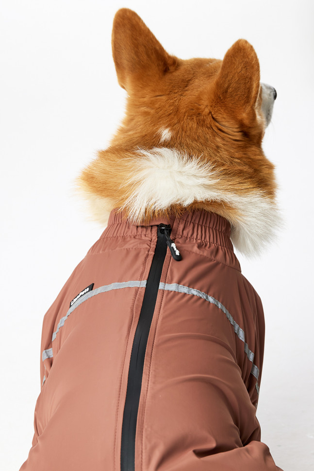 Дождевик LionPets Корги LPK-9125-128 на мальчика Цвет: Шоколадный