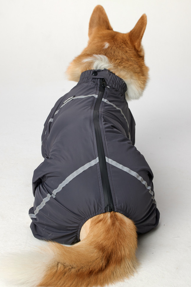 Дождевик LionPets Корги LPK-9125-135 на мальчика Цвет: Серый