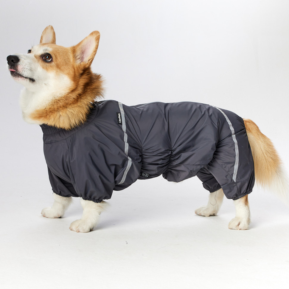 Дождевик LionPets Корги LPK-9125-135 на мальчика Цвет: Серый