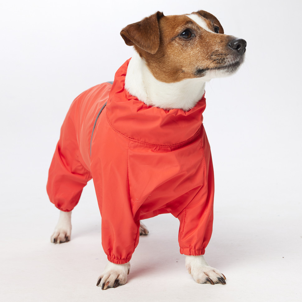 Дождевик LionPets ДЖЕК РАССЕЛ LPK-9225-29 на девочку Цвет: Оранжевый