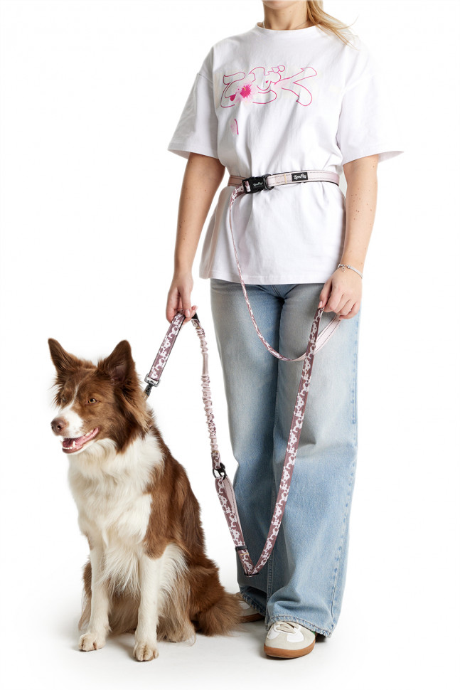Поводок-перестёжка для собак LionPets LP-701-9
