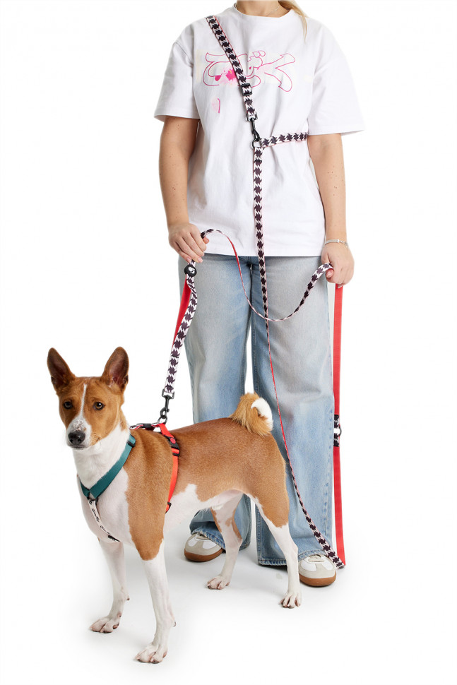Поводок-перестёжка для собак 3 в 1 LionPets LP-702-11