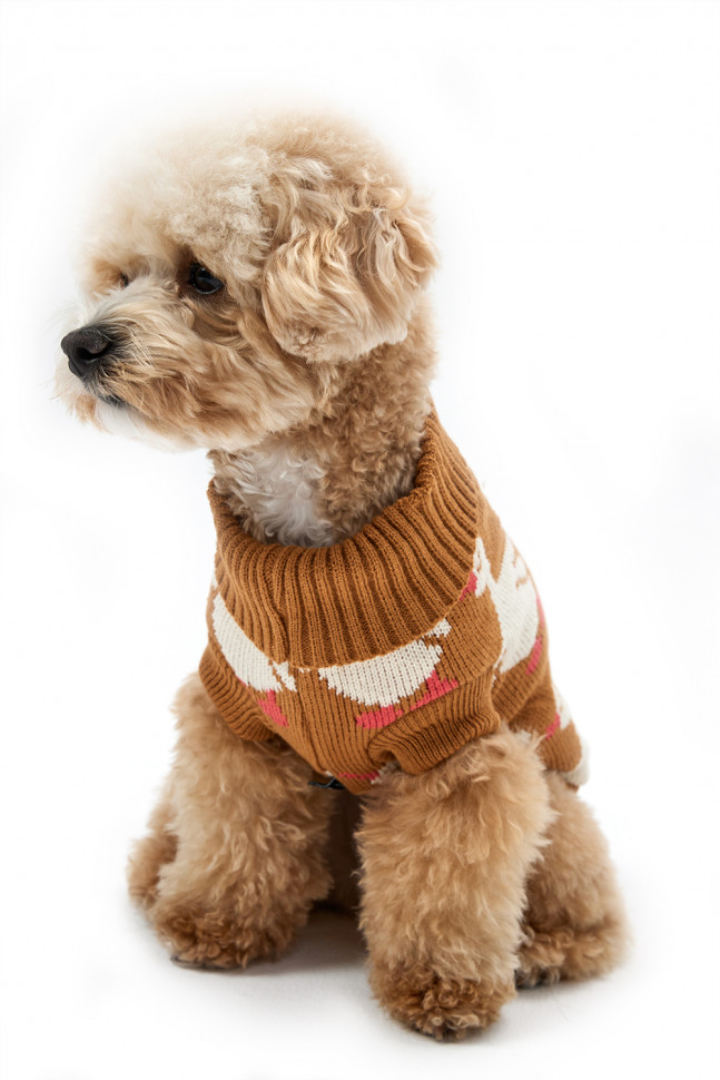 Свитер для собак Lion LMK-H134